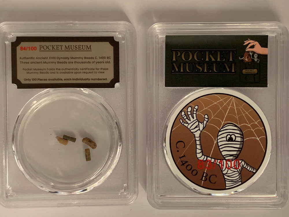 POCKET MUSEUM - Authentic Ancient XVIII Dynasty Mummy Beads C. 1400 BC. - GRAINMINT