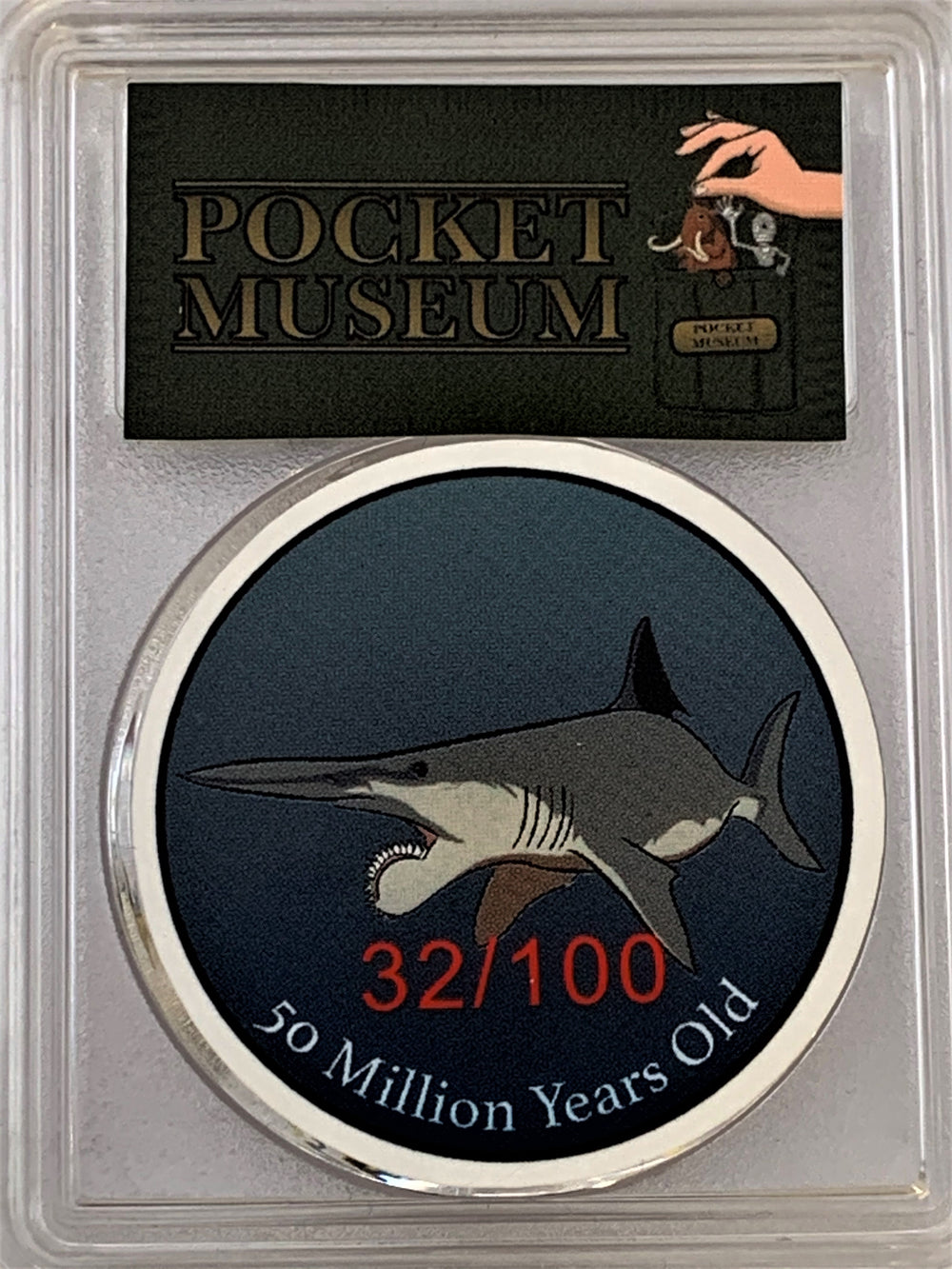 POCKET MUSEUM - Authentic Fossil Shark Tooth - 50 Million Years Old. - GRAINMINT