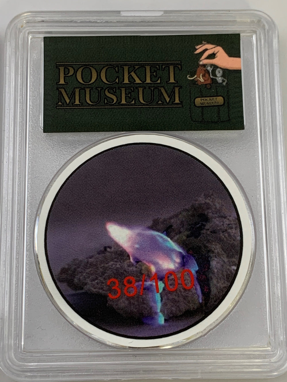 POCKET MUSEUM - BRIMSTONE Authentic Pieces of Unique sulfur from what is believed to be the Ancient Cities of Sodom and Gomorrah. - GRAINMINT